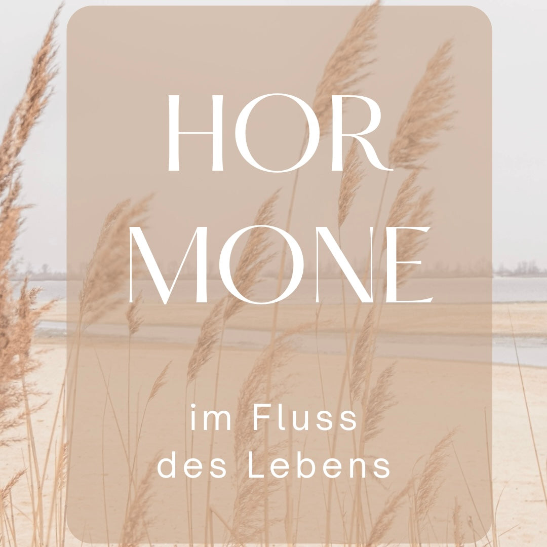 Hormone im Fluss des Lebens